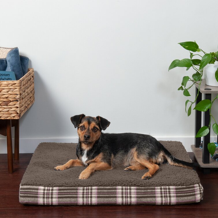 Plaid shop dog bed